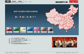 英特安防